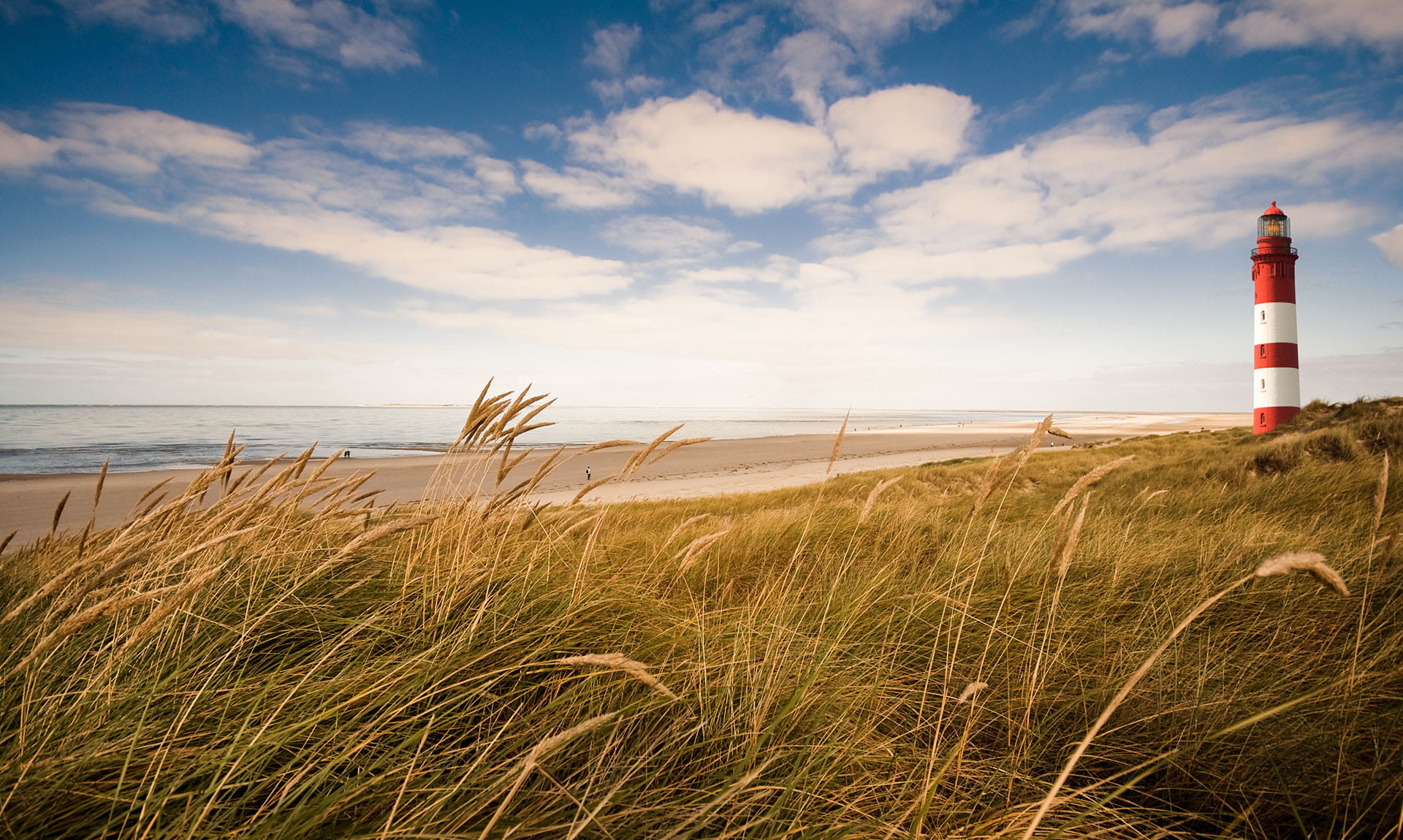 Investment Strategies Veltman Investment Management Grand Rapids, MI